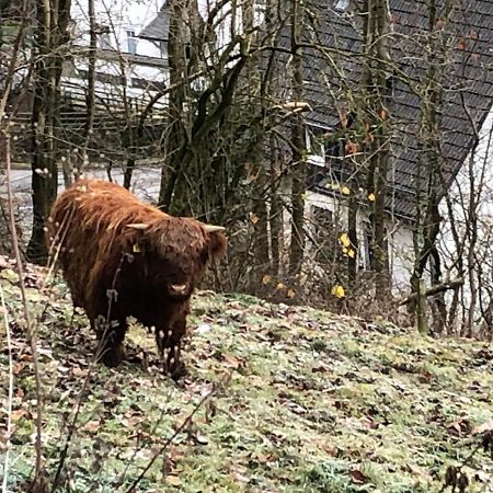 Ferienwohnung Koelbel Familienurlaub In Der Natur Schmallenberg Exterior foto